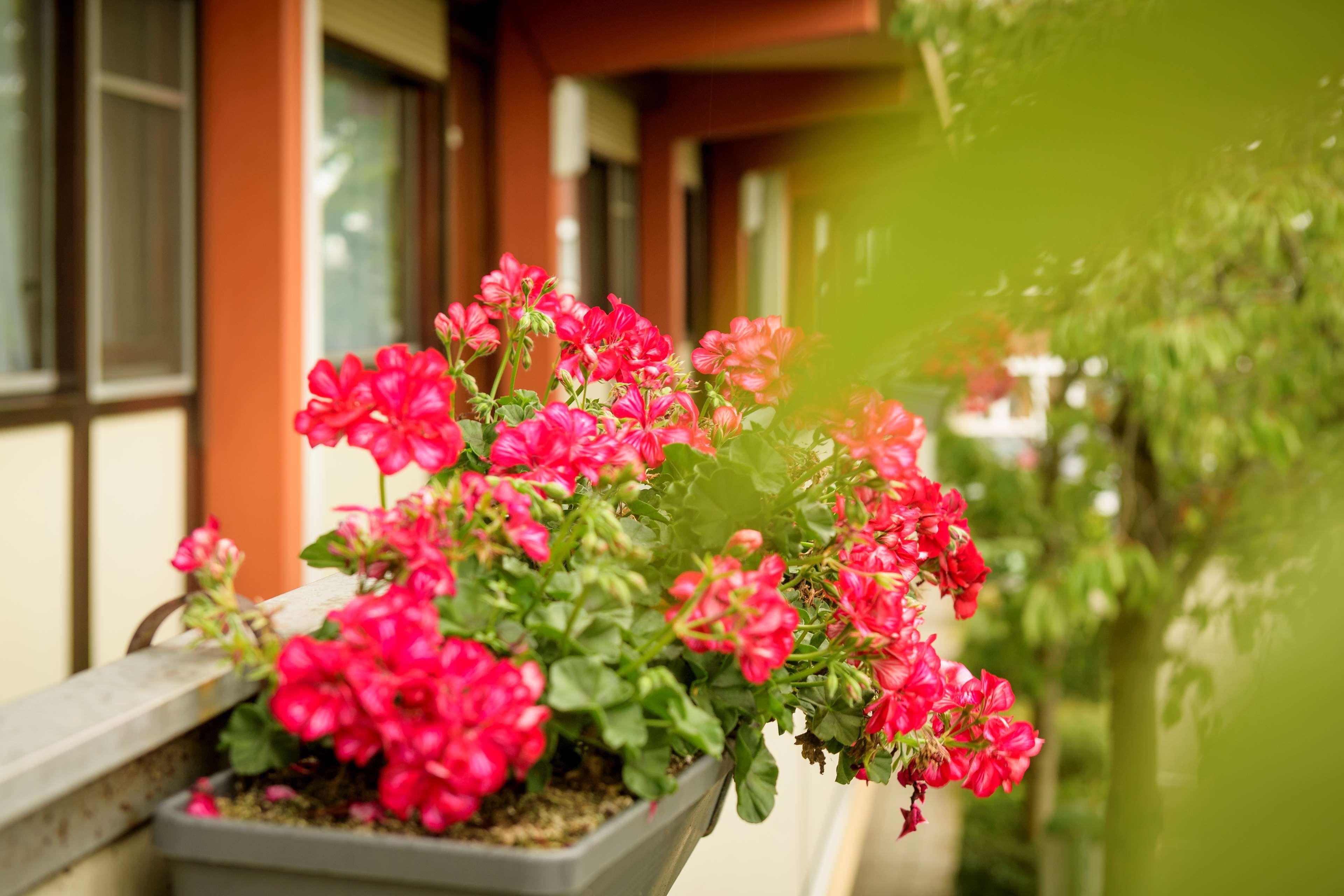 Campanile Hotel & Restaurant Gorinchem Dış mekan fotoğraf